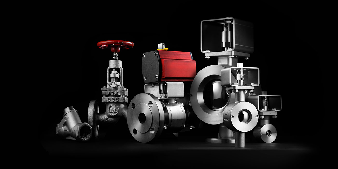 Ramén Valves product range