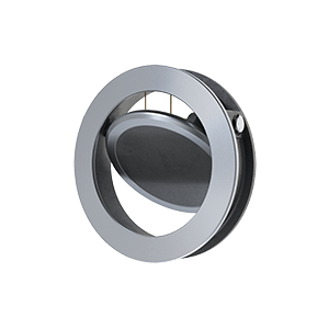 Ramén BAS 302 check valve